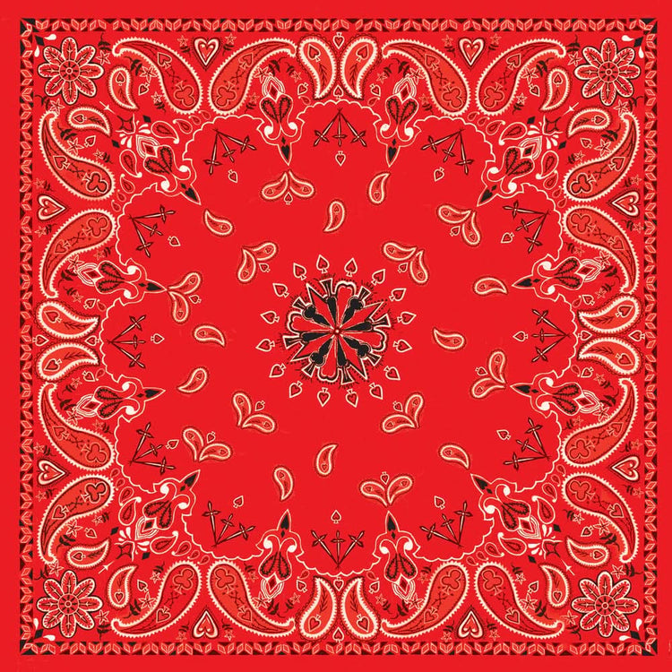 B3- Bandanna Red Paisley