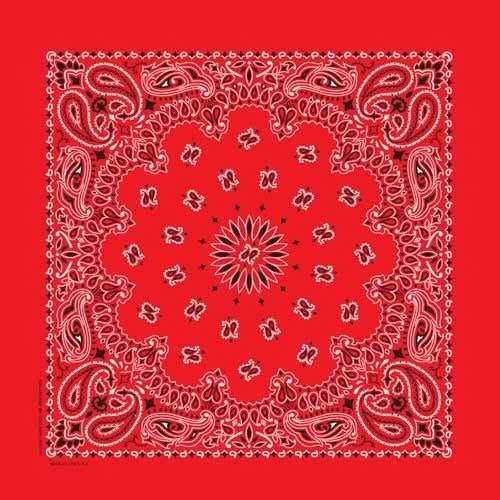 NT441 Bandana Paisley Red