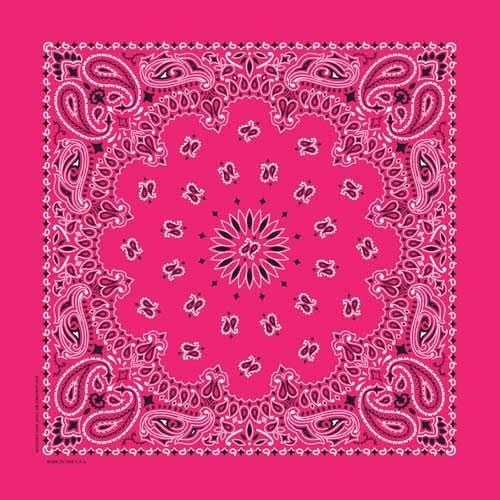 NT4413 Bandana Paisley Hot Pink