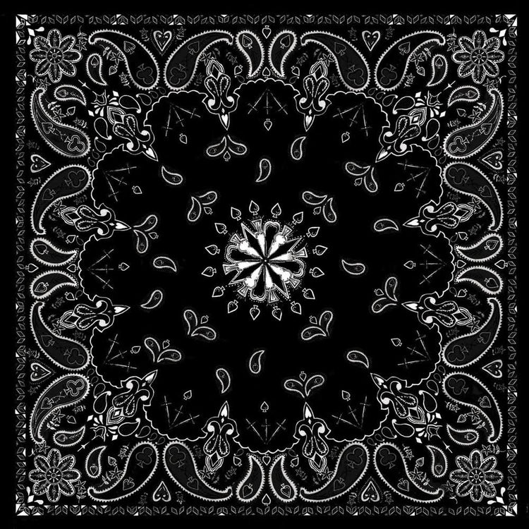 B1- Bandanna Black Paisley