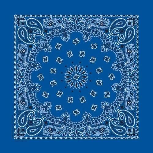 BD251 Bandana Paisley Royal