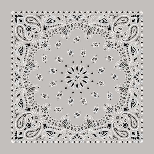 BD252 Bandana Paisley Silver